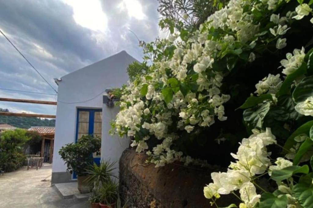 Villa Casaammari Acireale Exterior foto